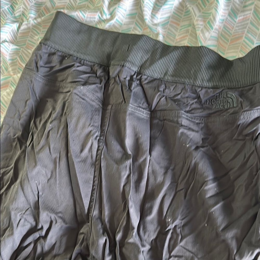 The North Face Gray Pants